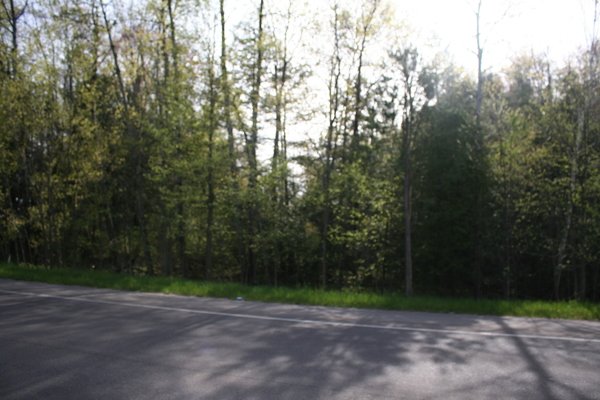 Lot 6311