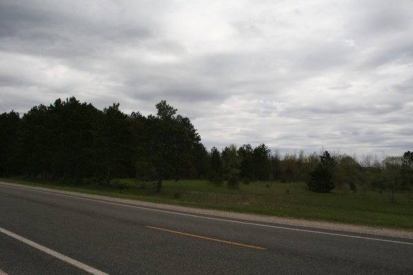 Lot 6317