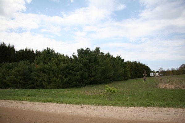 Lot 6322