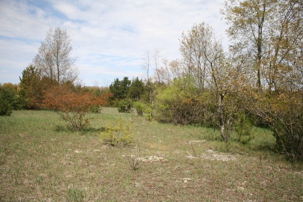 Lot 6332