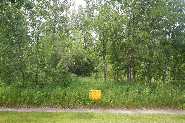 Lot 1200