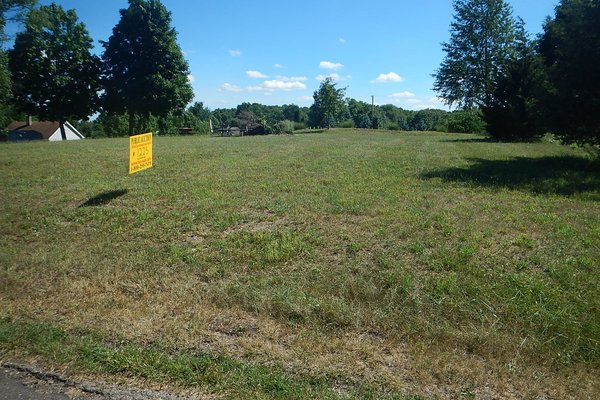 Lot 1225
