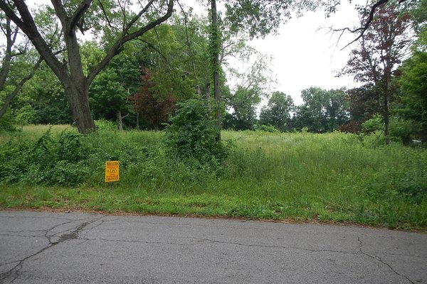 Lot 1250