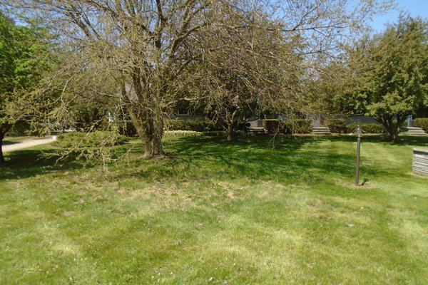 Lot 1905