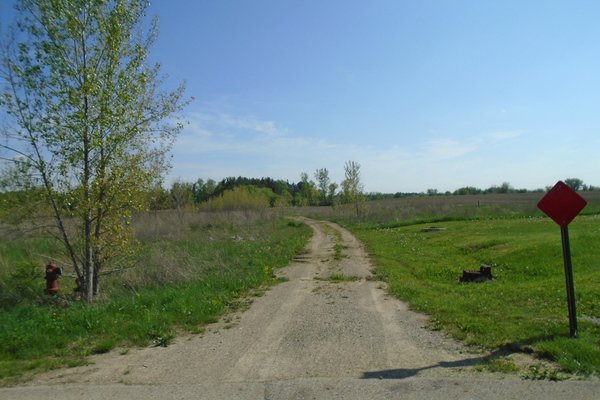 Lot 1911