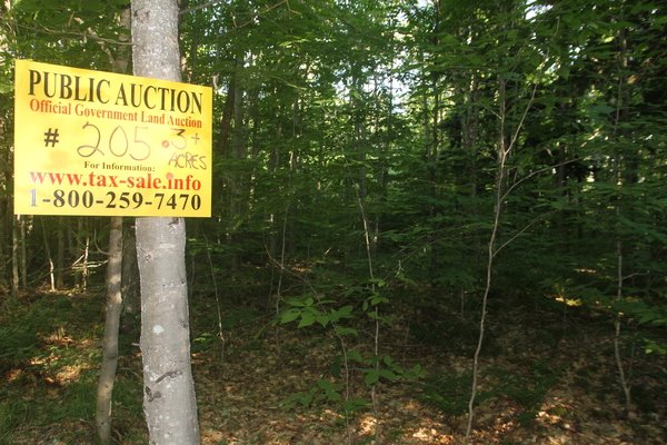 Lot 205