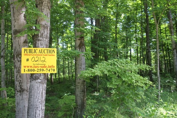 Lot 212