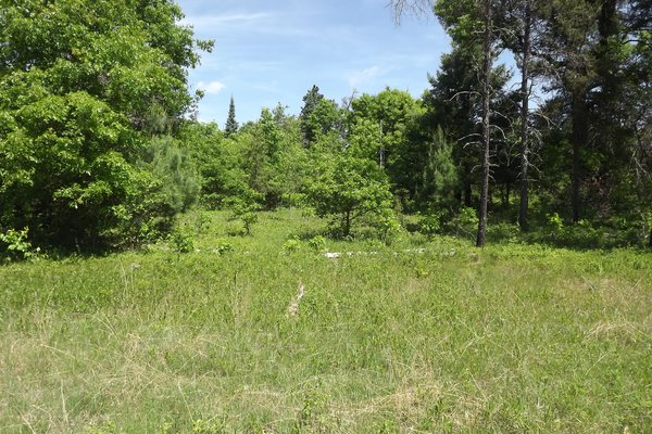 Lot 7152