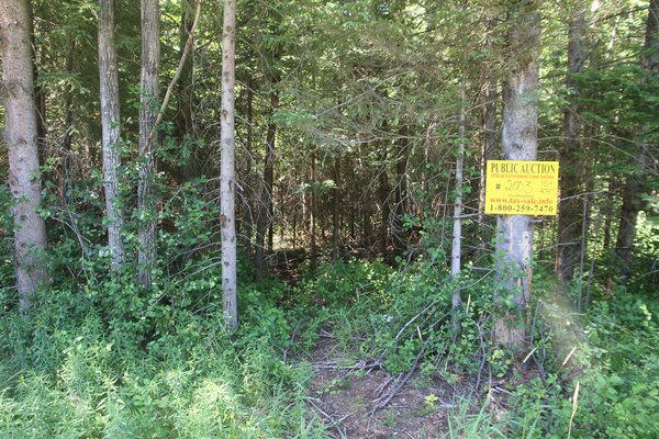 Lot 2003