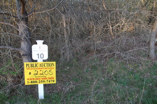 Lot 2205