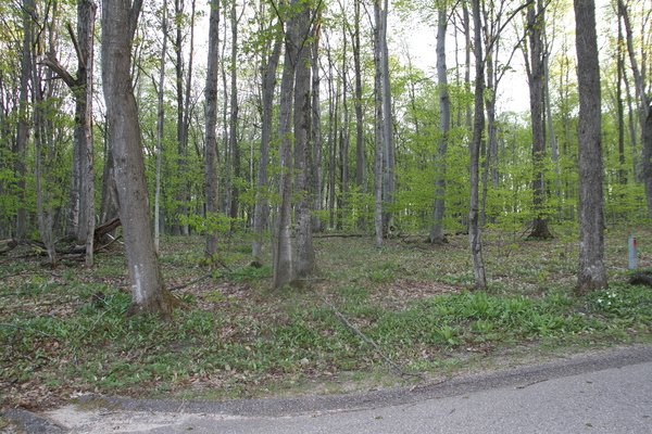 Lot 2212