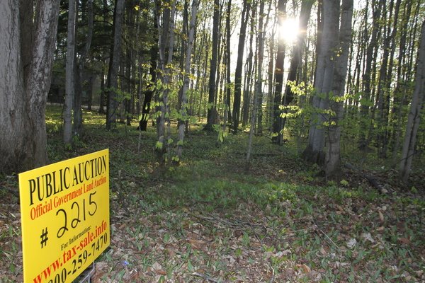 Lot 2215