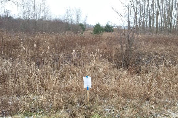 Lot 7224