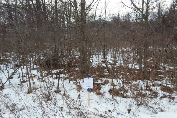 Lot 7225