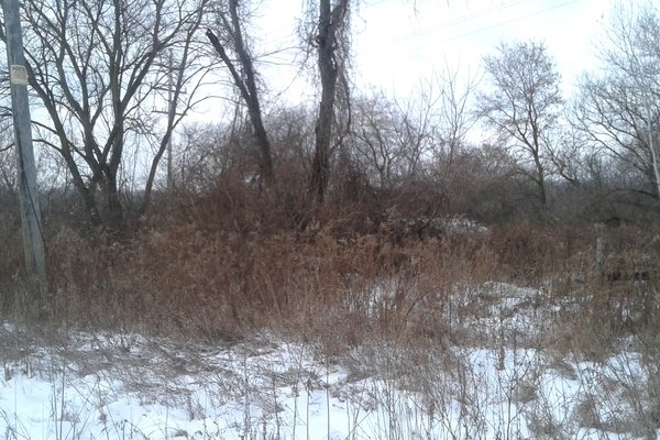 Lot 7226