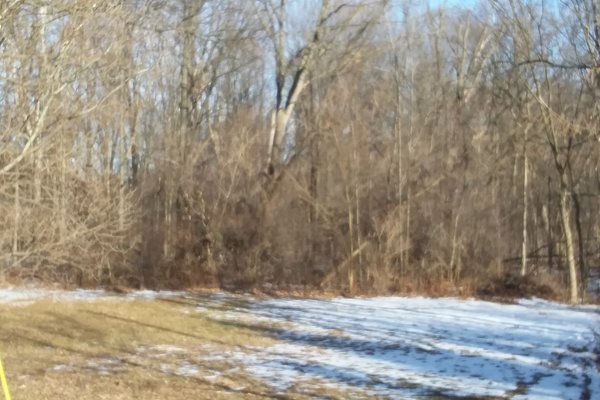 Lot 7255