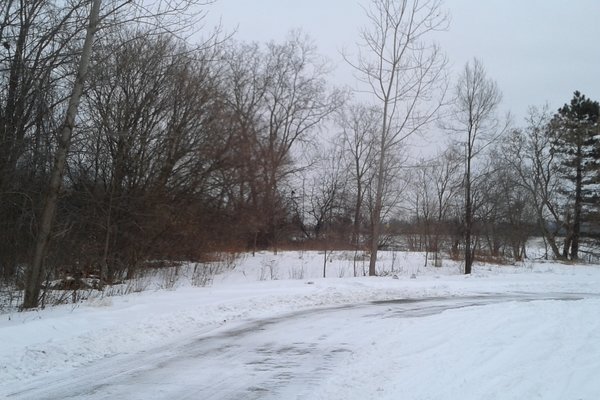 Lot 7265