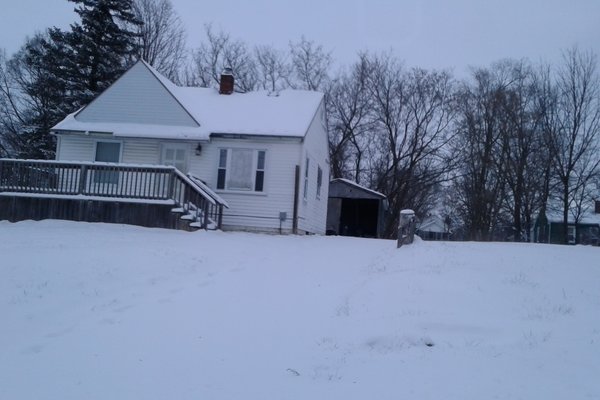 Lot 7295