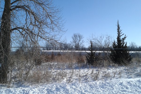 Lot 7309