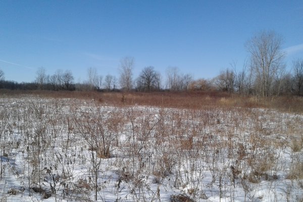 Lot 7316