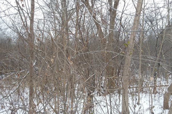 Lot 7608