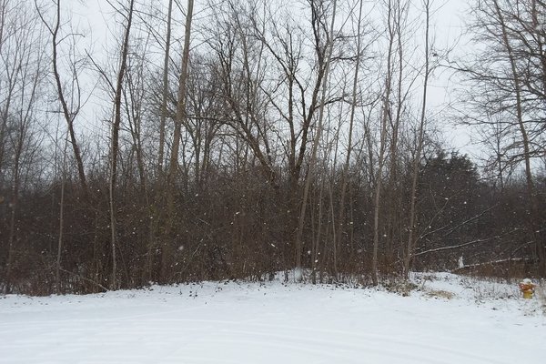 Lot 7611