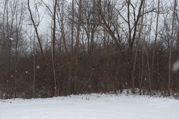 Lot 7612