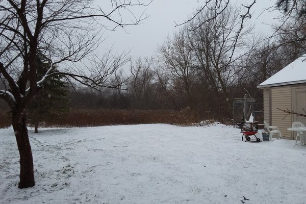 Lot 7619