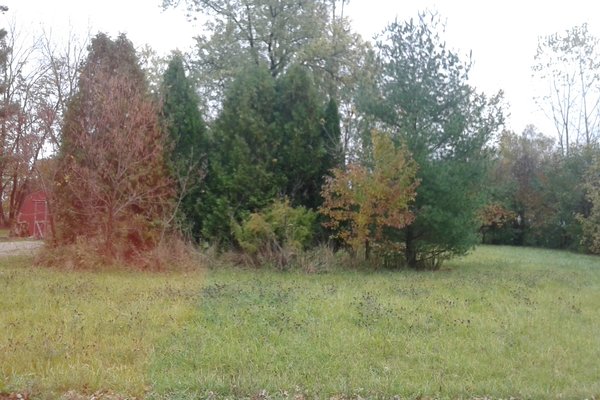 Lot 7626