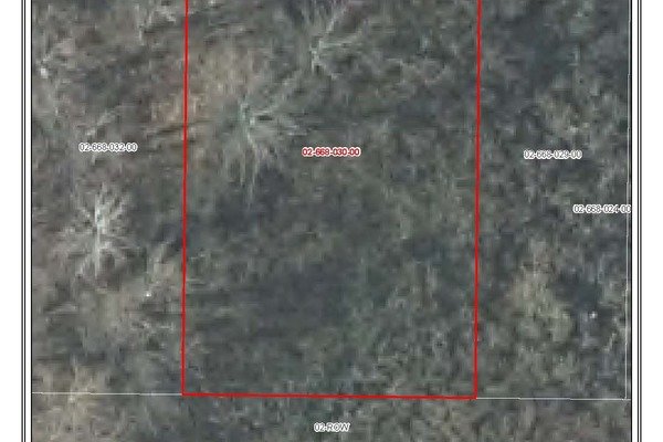 Lot 6954
