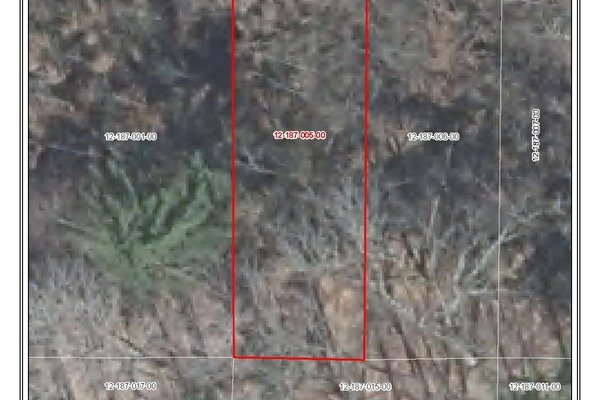 Lot 6961
