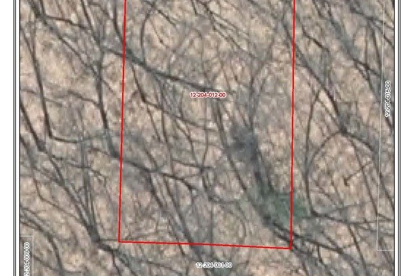Lot 6962
