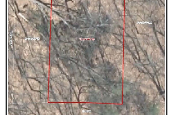 Lot 6964