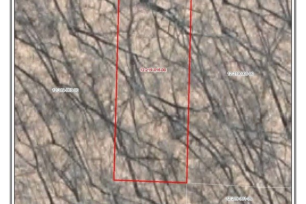 Lot 6966