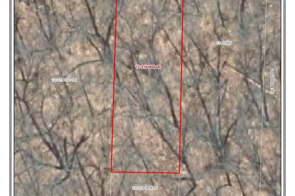 Lot 6967