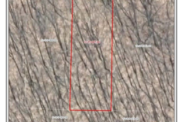 Lot 6974