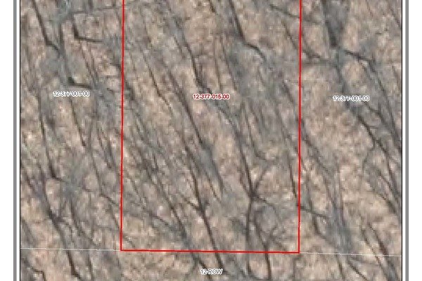Lot 6975