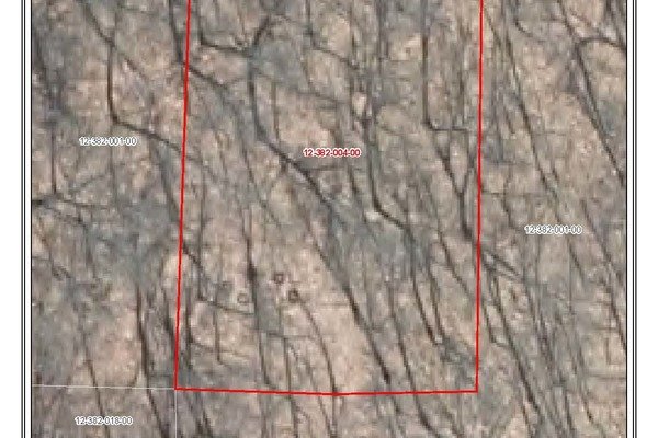 Lot 6977