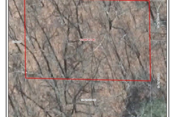 Lot 6981