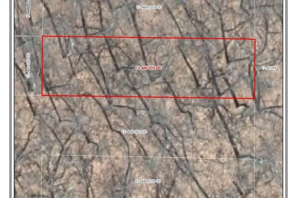 Lot 6984