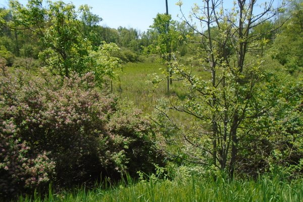 Lot 2604