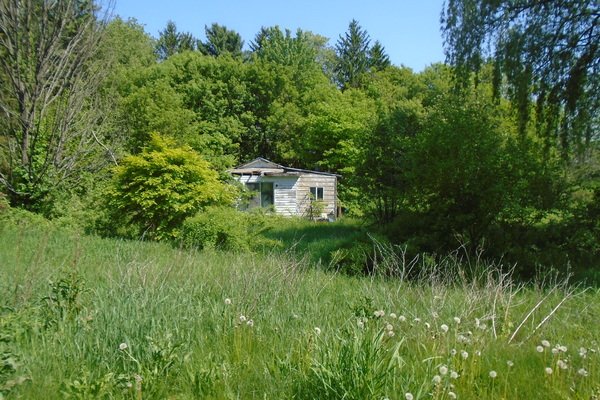 Lot 2605