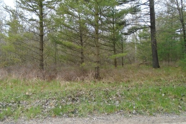 Lot 2702