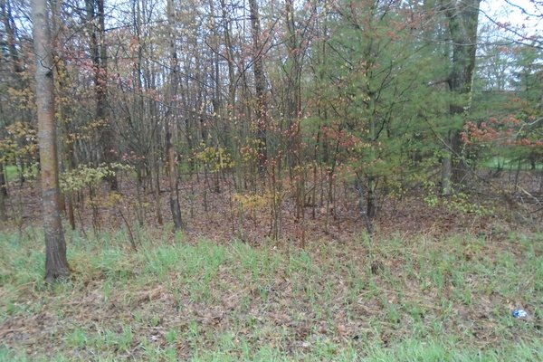 Lot 2736