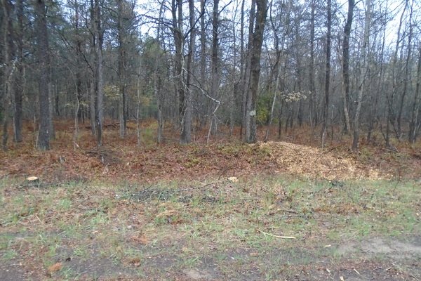 Lot 2743