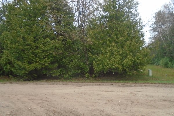 Lot 2750