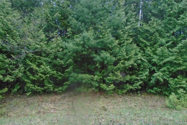 Lot 2754