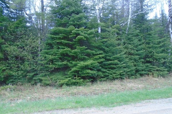 Lot 2756