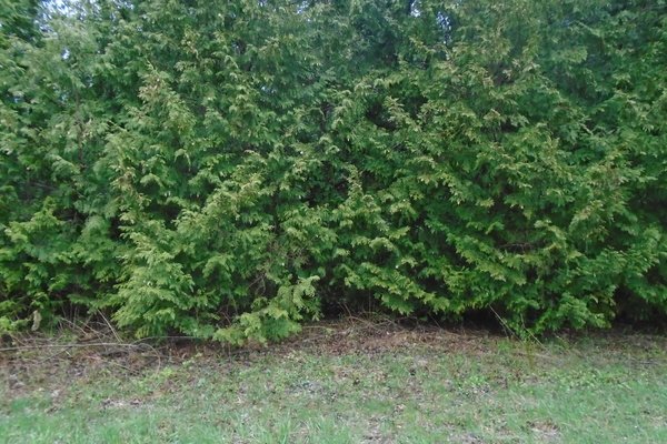 Lot 2760