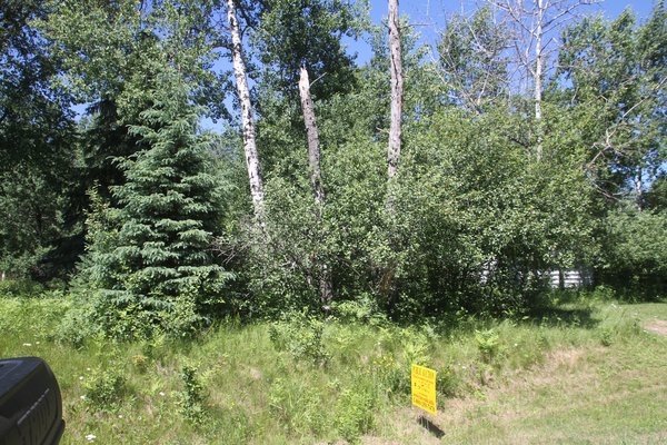 Lot 2825